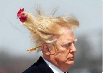 Трамп попав, як курка в окріп – в США соцмережі вибухнули мемами на TACO-назад (ФОТО, ВІДЕО)