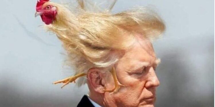 Трамп попав, як курка в окріп – в США соцмережі вибухнули мемами на TACO-назад (ФОТО, ВІДЕО)