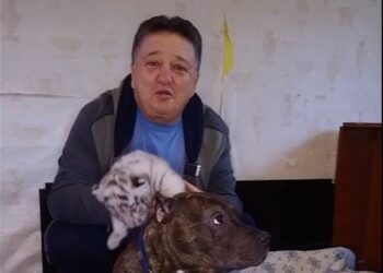У Фельдман-парку під Харковом собака усиновила двох тигренят, яких кинула тигриця (ВІДЕО)