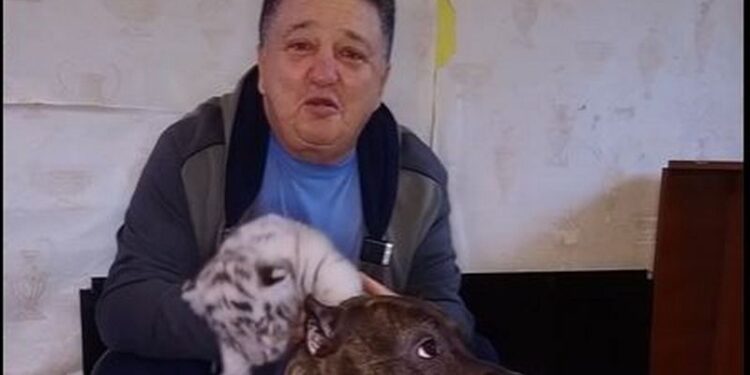 У Фельдман-парку під Харковом собака усиновила двох тигренят, яких кинула тигриця (ВІДЕО)