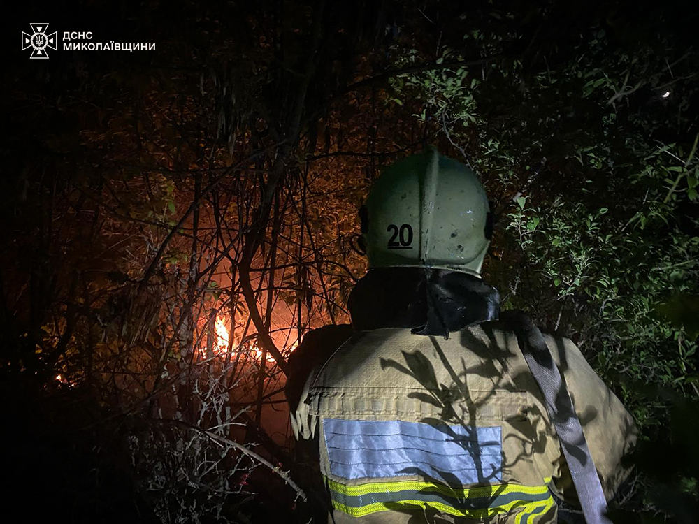 Протягом доби на Миколаївщині виникло п’ять пожеж (ФОТО) 5 Протягом доби на Миколаївщині виникло п’ять пожеж (ФОТО) 4