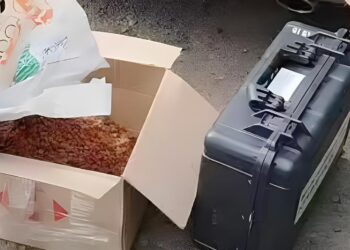 У Первомайську молодик збував наркотики-психотропи у коробках з кормом для тварин – поліція Миколаївщини його викрила (ФОТО)