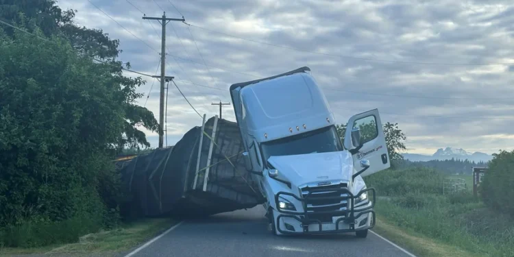 У штаті Вашингтон перекинулася вантажівка, яка перевозила вулики: з неї вилетіли близько 250 мільйонів бджіл (ВIДЕО)