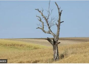 В Україні міліють річки і висихають озера. Що буде влітку