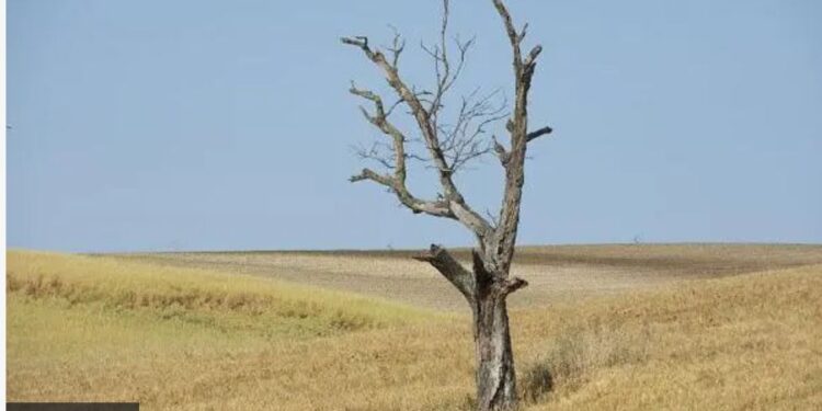 В Україні міліють річки і висихають озера. Що буде влітку