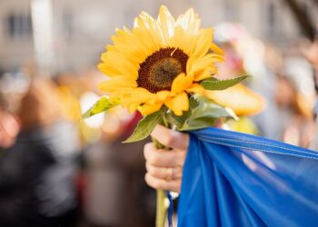 Литва заявила, що не визнає окуповані  території України російськими