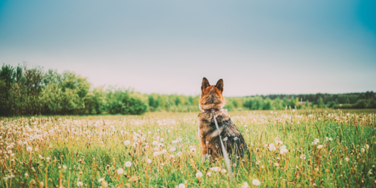 Попереду холодна субота та дощова неділя