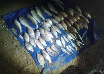 На Миколаївщині впіймали чергового браконьєра – збитки від його риболовлі склали 141 тис.грн. (ФОТО)