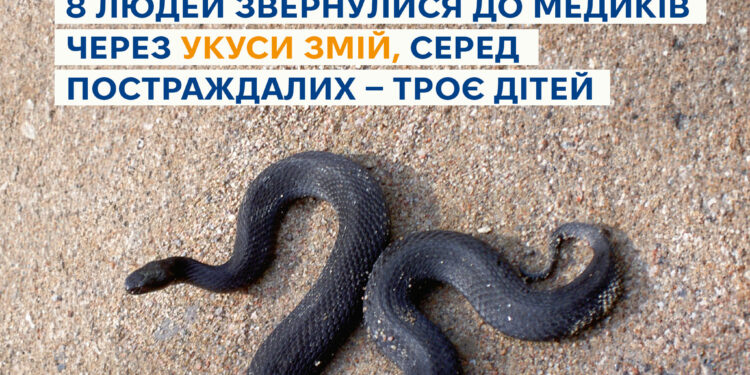 Протягом двох місяців в Україні змії вкусили 8 людей, зокрема 3 дітей
