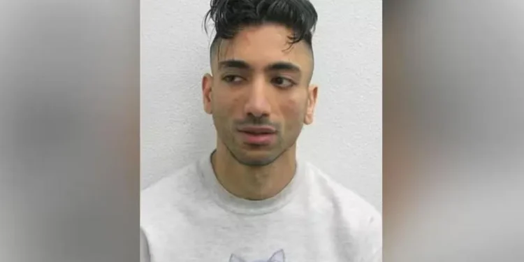 Організатором “весілля” з 9-річною українкою в паризькому «Діснейленді» виявився двічі засуджений педофіл