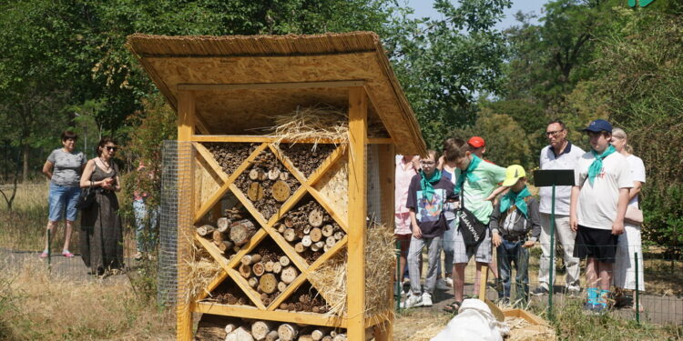 Не перший на Миколаївщині, але перший в Миколаєві – на території Миколаївського зоопарку з’явився готель для комах (ФОТО, ВІДЕО)