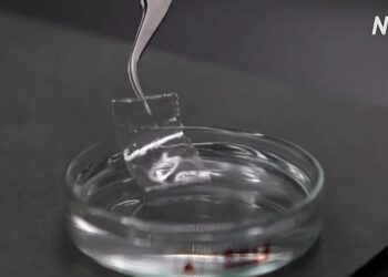 Японія створила пластик, який зникає в морі за лічені години (ВІДЕО)