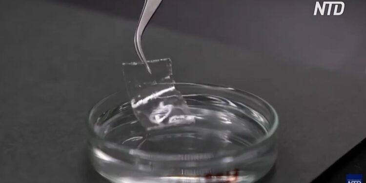 Японія створила пластик, який зникає в морі за лічені години (ВІДЕО)