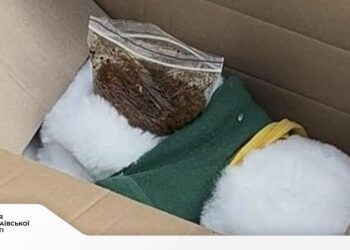 Психотропи в іграшці та закладках – у Миколаєві поліцейські викрили наркоділера (ФОТО)