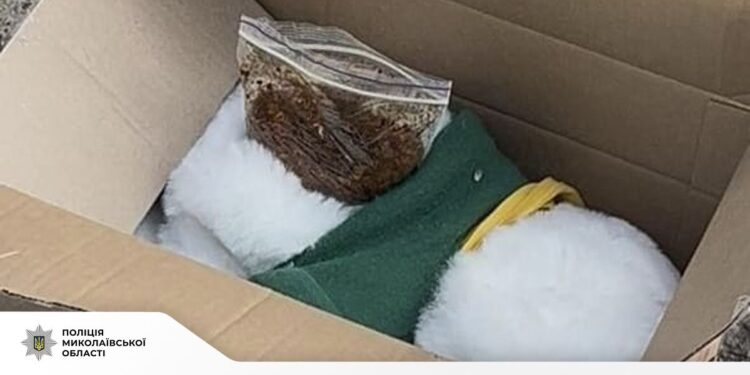 Психотропи в іграшці та закладках – у Миколаєві поліцейські викрили наркоділера (ФОТО)