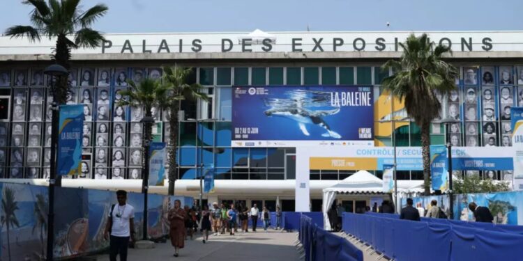 У Ніцці завершився «океанський» саміт ООН – є досягнення, але мінімальні