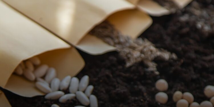 ЄС відкрив ринок для українського насіння олійних культур та буряка