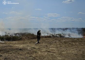 Протягом доби на Миколаївщині гасили 6 пожеж. Що горіло