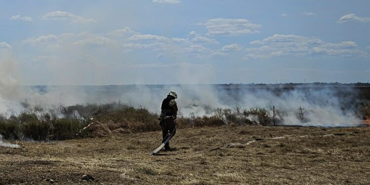 Протягом доби на Миколаївщині гасили 6 пожеж. Що горіло