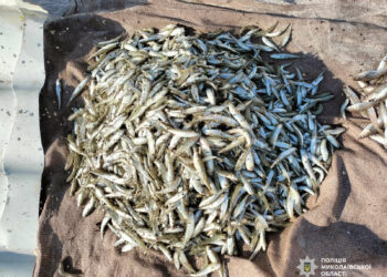 У Коблевому на Миколаївщині браконьєр незаконним виловом риби завдав збитків на 135 тис.грн. (ФОТО)