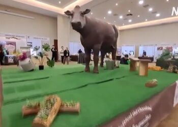 Велика шоколадна корова стала зіркою фестивалю в Чілі (ВІДЕО)