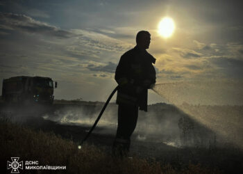 7,5 га ячменю та 0,8 га пшениці на корені – які ще пожежі гасили протягом доби на Миколаївщиніт(ФОТО)
