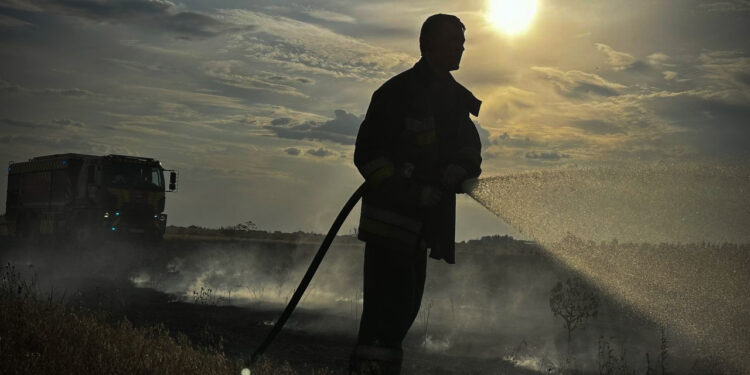 7,5 га ячменю та 0,8 га пшениці на корені – які ще пожежі гасили протягом доби на Миколаївщиніт(ФОТО)