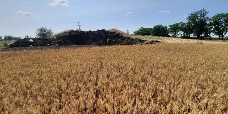 На Миколаївщині розорили об’єкти археологічної спадщини – кургани, які хтось передав у приватну власність (ФОТО)