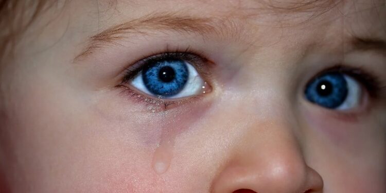 Рада Європи визнала Лукашенка відповідальним за депортацію українських дітей до Білорусі