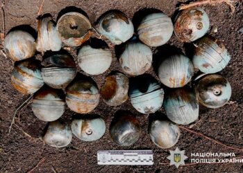 Осколкові бойові елементи на околиці села: на Миколаївщині поліцейські вибухотехніки знищили ворожі суббоєприпаси (ФОТО)