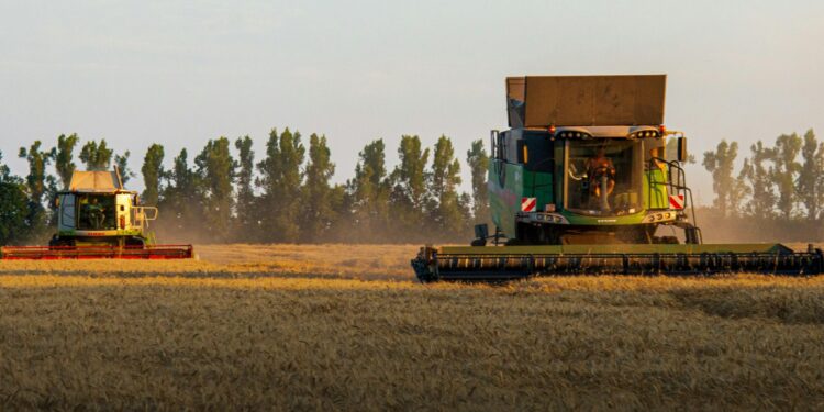 Жнива-2025 – три області, зокрема Миколаївська, розпочали збір врожаю