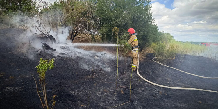 З 33 пожеж на Миколаївщині за добу одна спалахнула через російську атаку (ФОТО)