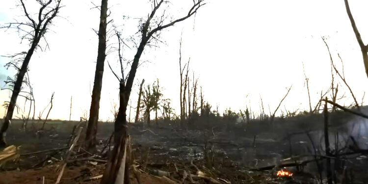 Миколаївські тероборонівці – «Тренер»