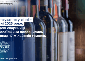 Ліцензування у січні–травні 2025 року: місцеві бюджети Миколаївщини поповнились на понад 17 млн.грн.