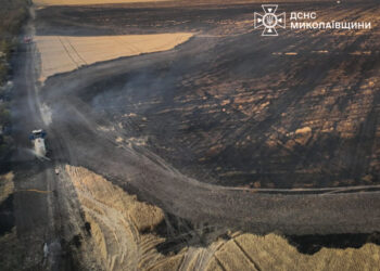 На Миколаївщині протягом доби було 29 пожеж. Найбільша – вигоріло 140 га пшениці на корені (ФОТО)