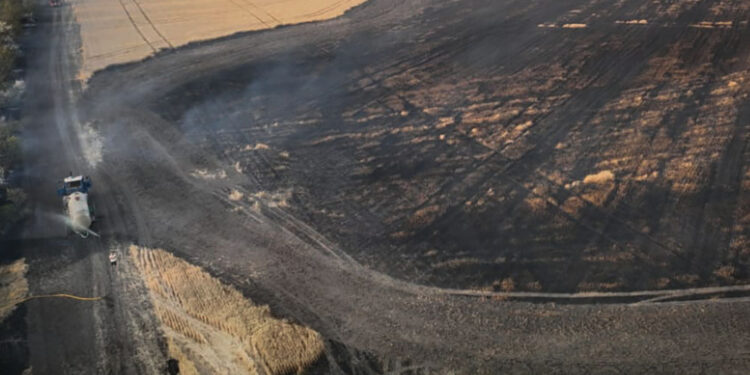 На Миколаївщині протягом доби було 29 пожеж. Найбільша – вигоріло 140 га пшениці на корені (ФОТО)