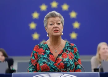 Ілва Йоханссон стане спецпредставником ЄС у справах українців: що про неї відомо