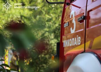 За добу на Миколаївщині зареєстровано 35 пожеж (ФОТО)