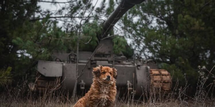 Знешкоджено ще 1140 окупантів, загалом – понад 989 тис. Всі втрати ворога