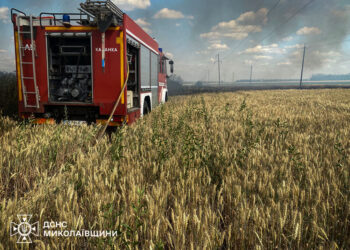 Горить в екосистемах – з 25 пожеж за добу на Миколаївщині тільки одна була в житловому секторі (ФОТО)