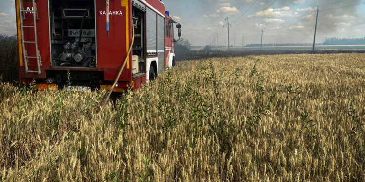 Горить в екосистемах – з 25 пожеж за добу на Миколаївщині тільки одна була в житловому секторі (ФОТО)