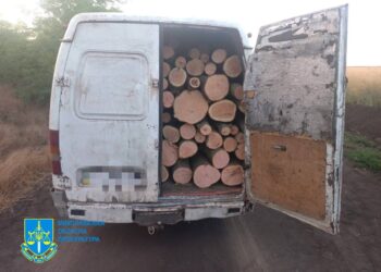 Групу чорних лісорубів затримали на Миколаївщині – у них були улюблені породи дерев (ФОТО)