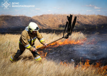 48 пожеж за добу на Миколаївщині, вигоріло 75 га пшениці на корені (ФОТО)