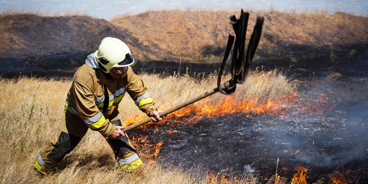 48 пожеж за добу на Миколаївщині, вигоріло 75 га пшениці на корені (ФОТО)