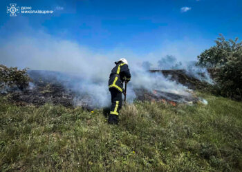 Горять екосистеми – з 18 пожеж на Миколаївщині за добу тільки дві були у житловому секторі (ФОТО)