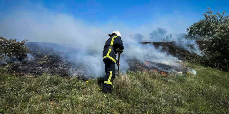 Горять екосистеми – з 18 пожеж на Миколаївщині за добу тільки дві були у житловому секторі (ФОТО)