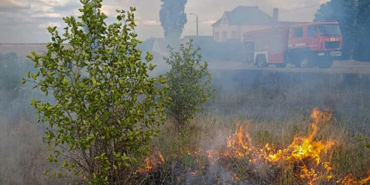 На Миколаївщині за добу було 19 пожеж (ФОТО)