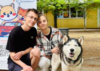 Ще 10 безпритульних тварин знайшли у Миколаєві домівки (ФОТО)
