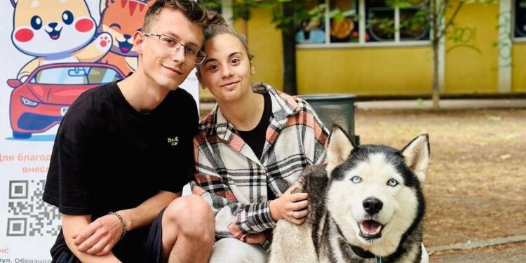 Ще 10 безпритульних тварин знайшли у Миколаєві домівки (ФОТО)