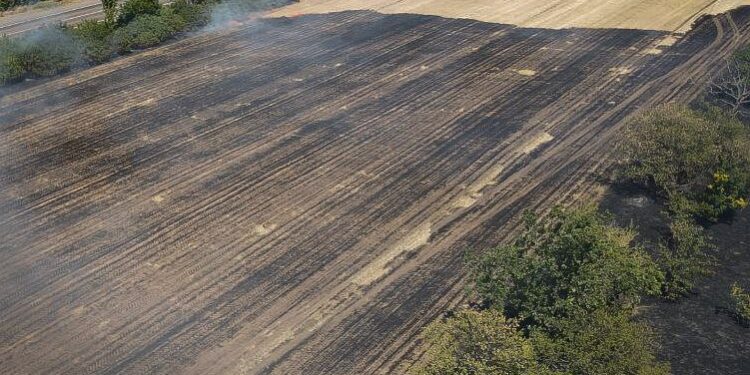 Біля Миколаєва полум’я з сухої трави перекинулося на поле пшениці -вигоріло 60 га (ФОТО)